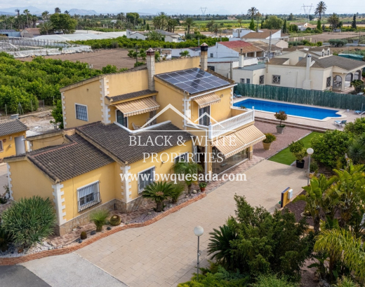 Finca - Resale - Elche - Elche