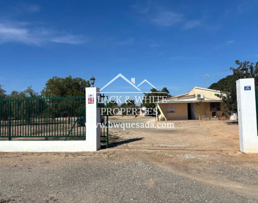 Finca - Venta - Elche Pedanías - BWC-1688