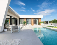 Nueva construcción  - Villa - Murcia