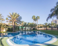 Resale - Apartment - Arenales del Sol - Arenales