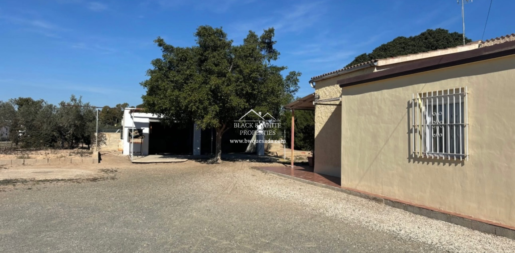 Resale - Finca - Elche Pedanías - Maitino