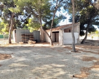Resale - Finca - Elche Pedanías - Peña las Águilas