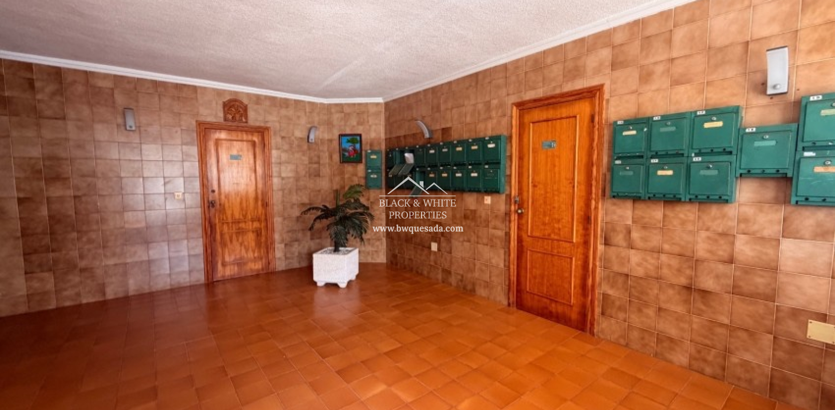 Revente - Appartement - CABO ROIG