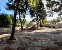 Revente - Finca - Elche Pedanías - Peña las Águilas