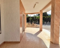 Revente - Finca - Elche Pedanías - Peña las Águilas