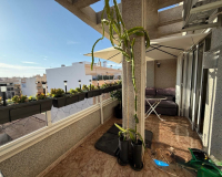 Revente - Penthouse - Torrevieja - Torrevieja 