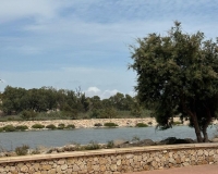 Venta - Apartamento - Guardamar del Segura