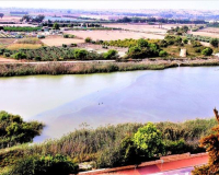 Venta - Duplex - Guardamar del Segura