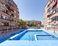 Venta - Estudio - Torrevieja