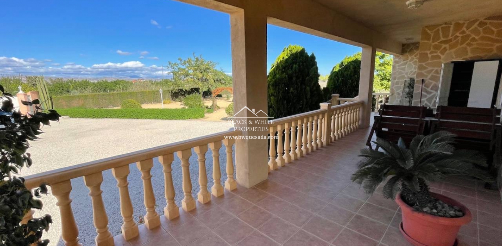 Venta - Finca - Catral