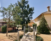 Venta - Finca - Catral