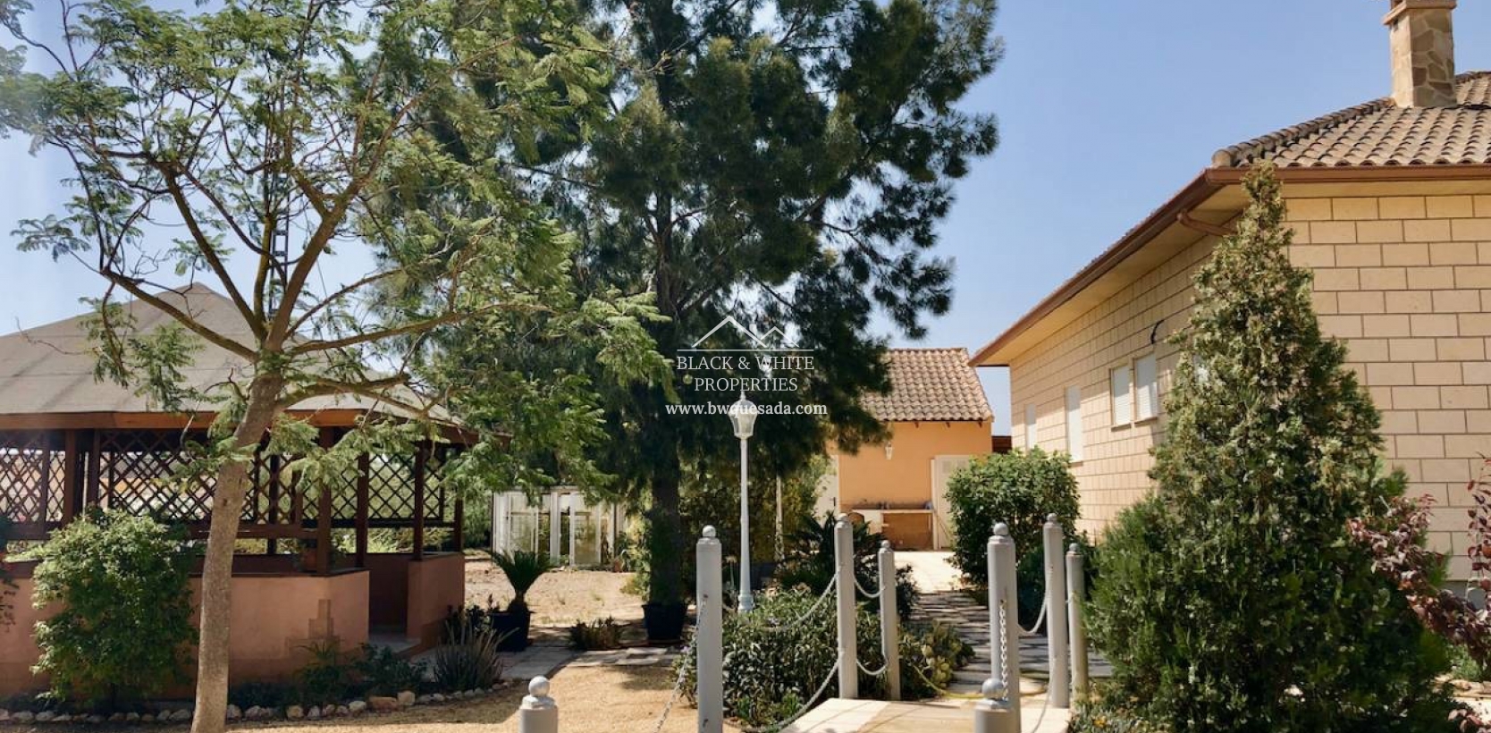 Venta - Finca - Catral