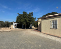 Venta - Finca - Elche Pedanías - Maitino