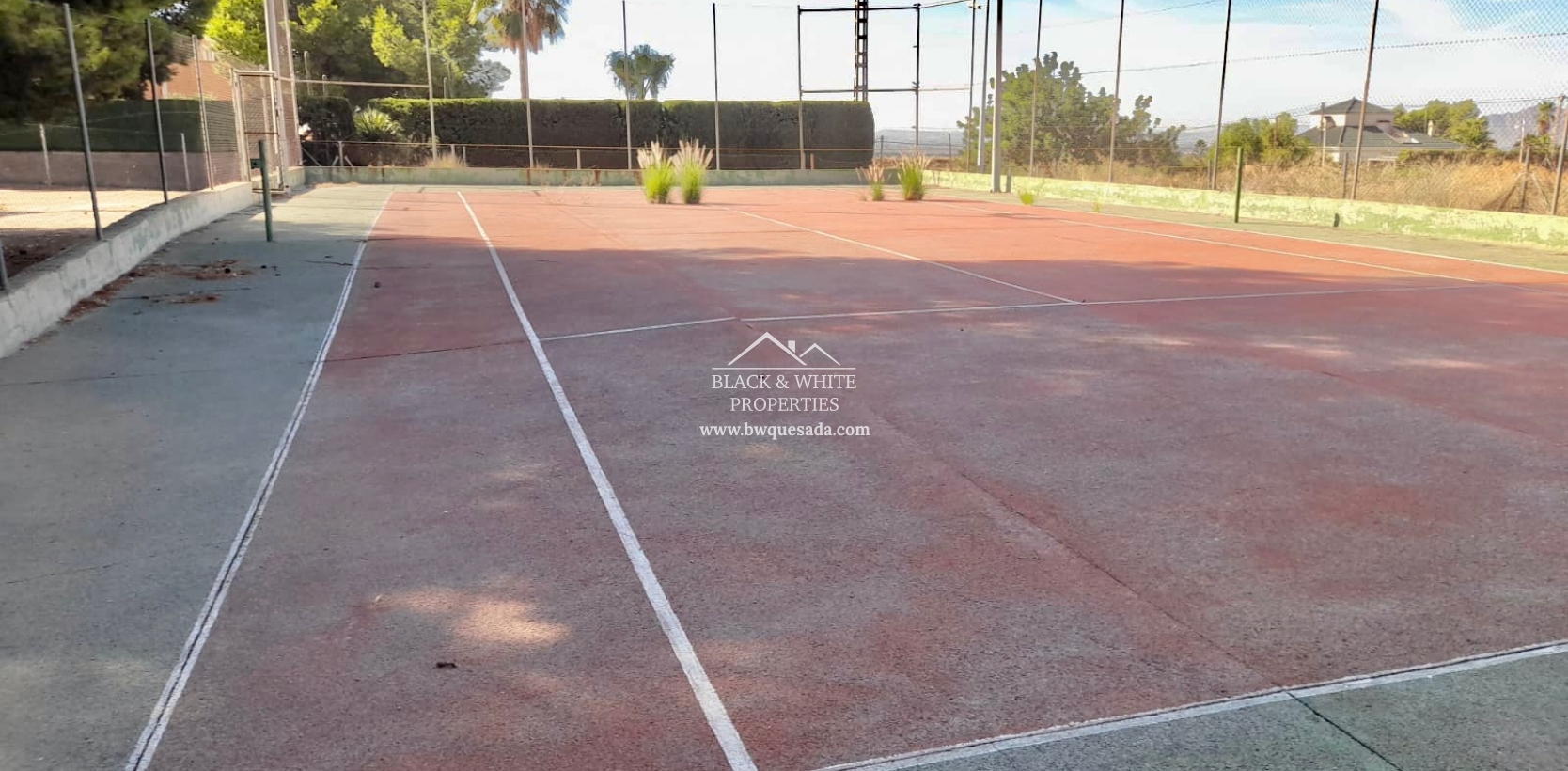 Venta - Finca - Elche Pedanías - Peña las Águilas