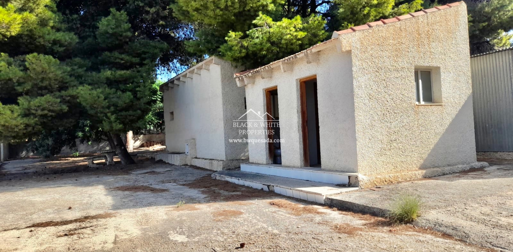 Venta - Finca - Elche Pedanías - Peña las Águilas
