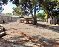 Venta - Finca - Elche Pedanías - Peña las Águilas