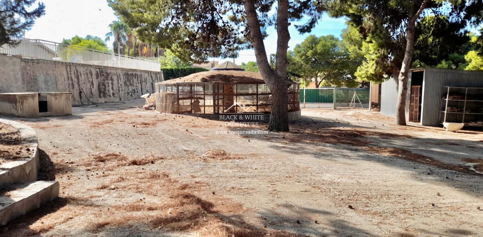 Venta - Finca - Elche Pedanías - Peña las Águilas