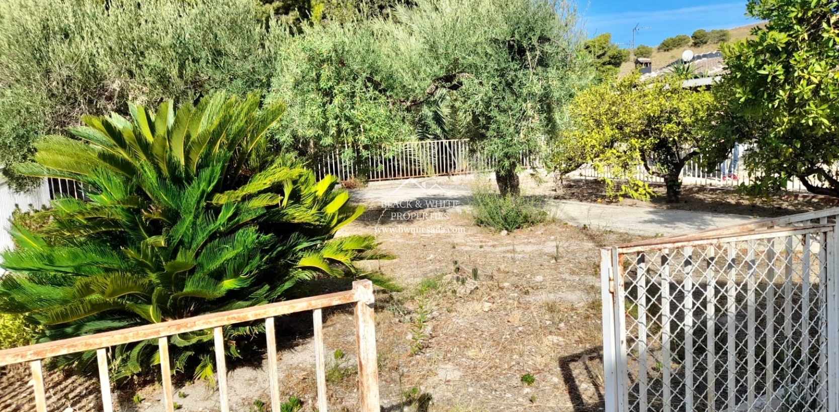 Venta - Finca - Elche Pedanías - Peña las Águilas