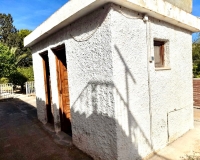 Venta - Finca - Elche Pedanías - Peña las Águilas