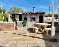 Venta - Finca - Elche Pedanías - Peña las Águilas