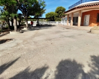 Venta - Finca - Elche Pedanías - Peña las Águilas