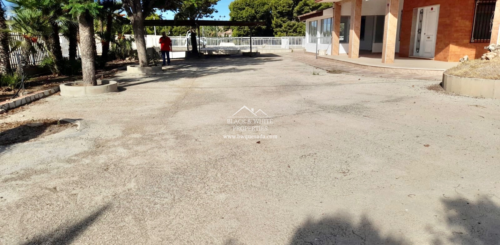 Venta - Finca - Elche Pedanías - Peña las Águilas