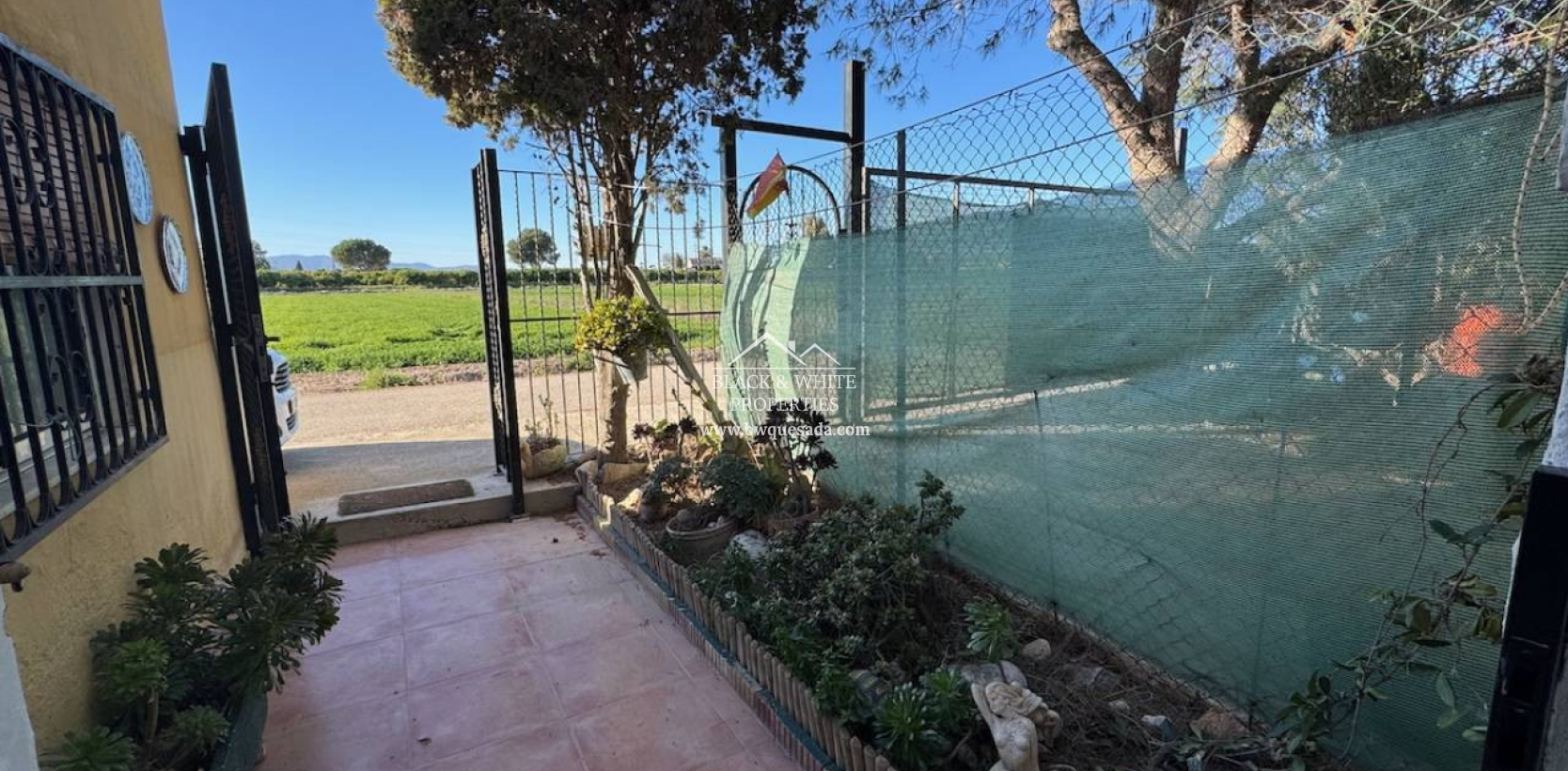 Venta - Finca - Guardamar del Segura