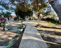 Venta - Finca - Guardamar del Segura