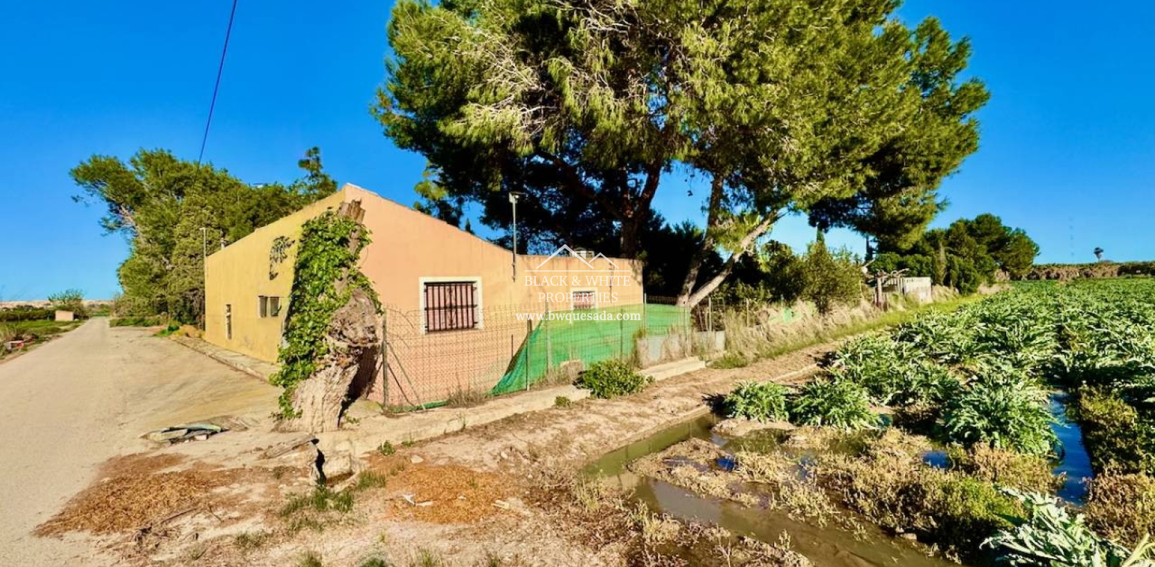 Venta - Finca - Guardamar del Segura