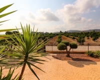 Venta - Finca - Orihuela