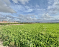Venta - Finca - Orihuela