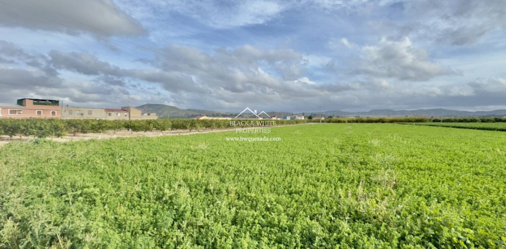 Venta - Finca - Orihuela