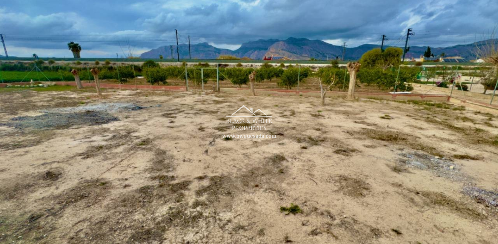 Venta - Finca - Orihuela